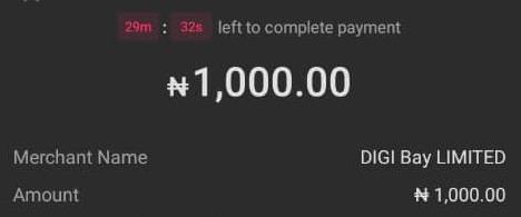 OPay checkout showing merchant DIGI Bay LIMITED and a ₦1,000 charge