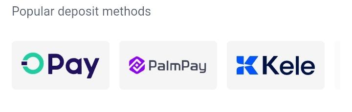 BetKing popular deposit methods: OPay, PalmPay, Kele